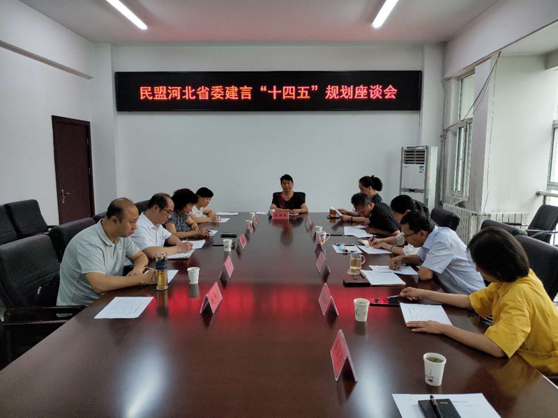 民盟省委召开建言河北省“十四五”规划座谈会(图1)