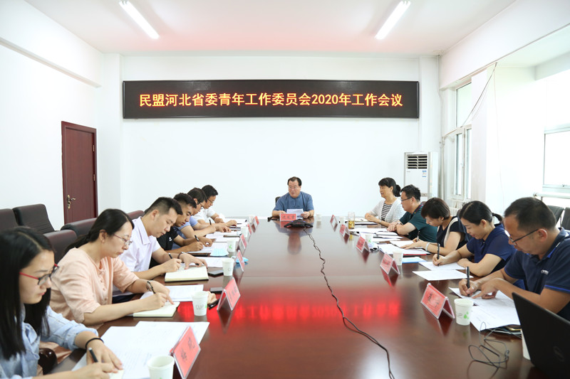 民盟河北省委青年工作委员会召开2020年工作会议(图1)