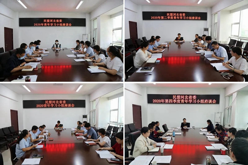 民盟省委召开机关青年理论学习小组2020年总结会(图1)