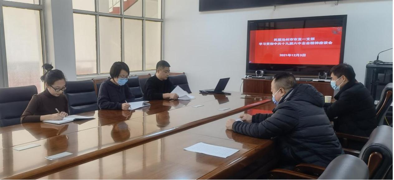 赓续光荣传统 携手开创未来——民盟沧州市各基层组织学习贯彻中共十九届六中全会精神（二）(图4)