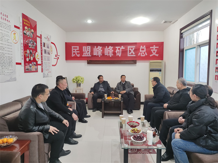 市政协副主席、民盟市委主委董卫到峰峰矿区总支进行盟务工作调研(图1)