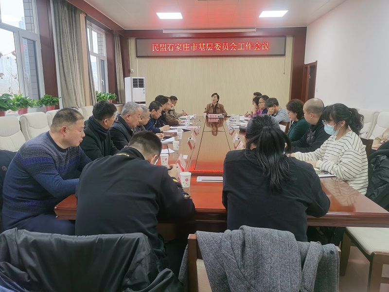 民盟石家庄市委召开基层委员会工作会议(图1)