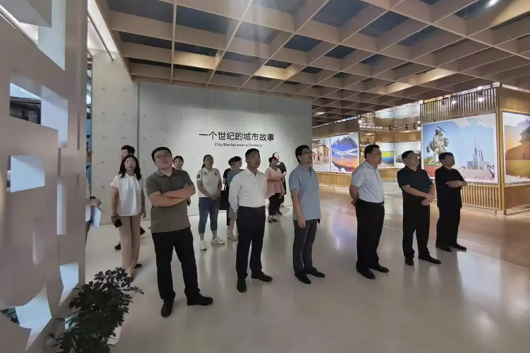 民盟河北省委召开2024年参政议政立项课题推进会(图3)
