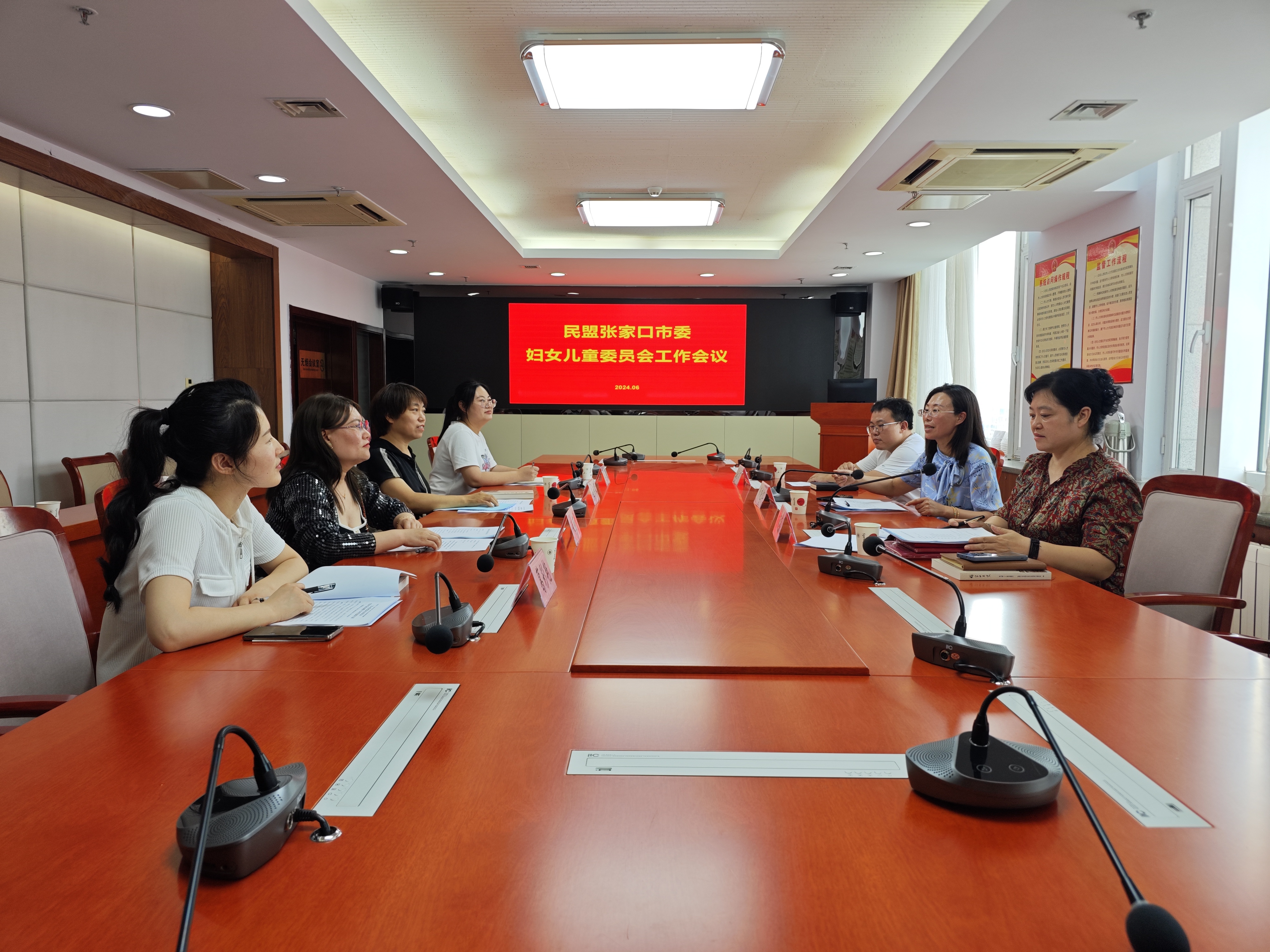 民盟市委妇女儿童委员会召开2024年上半年工作调度会(图1)