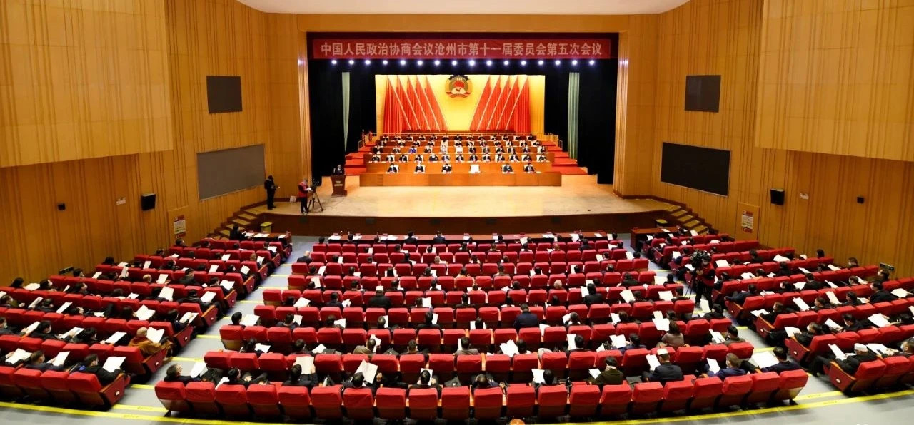 沧州“两会”民盟风采丨履职尽责显担当 踊跃建言促发展(图1)