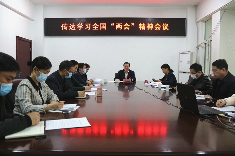 民盟省委召开专题会议传达学习全国“两会”精神(图1)