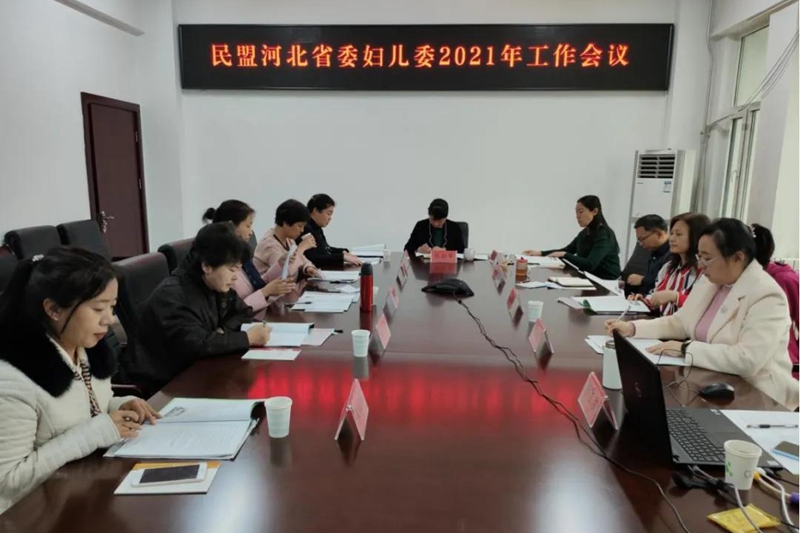 民盟河北省委妇女儿童委员会召开2021年工作会议(图1)