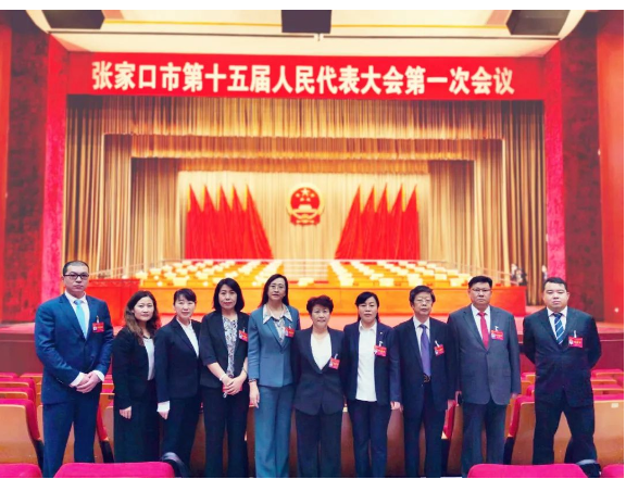 聚焦张家口市“两会”｜民盟界别人大代表履职尽责展风采(图3)