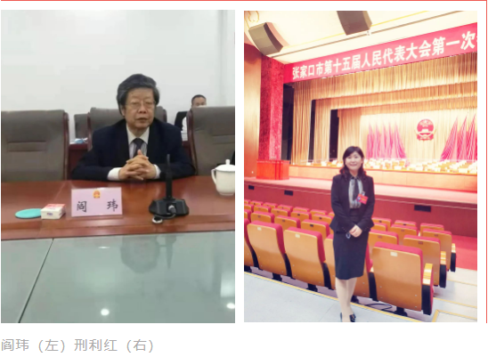 聚焦张家口市“两会”｜民盟界别人大代表履职尽责展风采(图5)